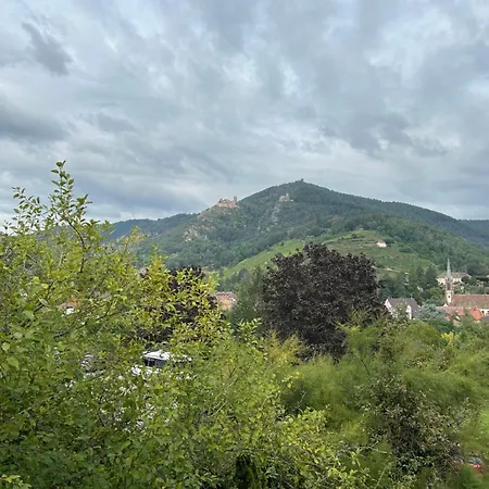 Vue Magnifique Sur Les Châteaux Ribeauvillé