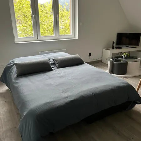 Vue Magnifique Sur Les Châteaux Apartamento Ribeauvillé